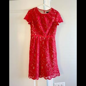 Adrianna Papell Red Lace Dress